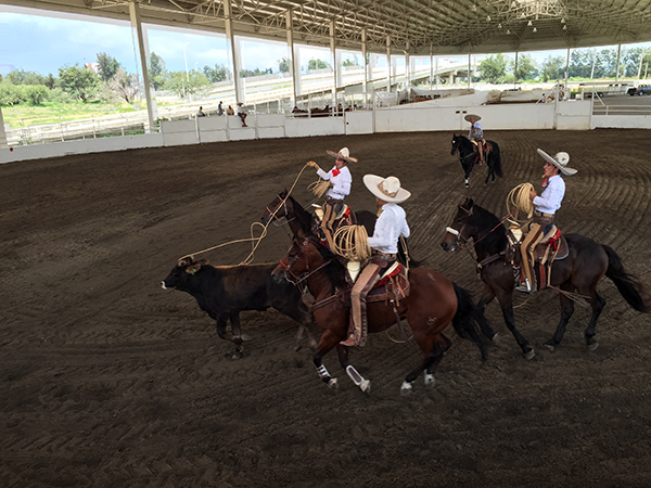 mexico roping charro vicente fernandez ranch