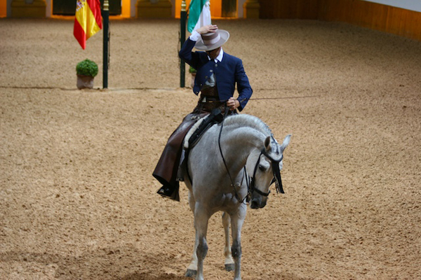 spain's royal andalusian school of equestrian arts