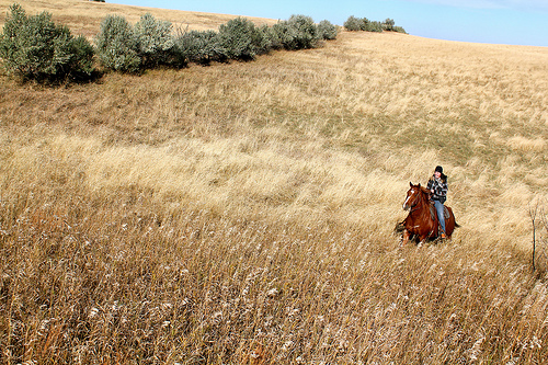 horse riding north dakota