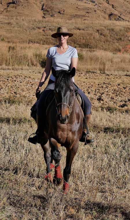 ex-racehorse-retrained-as-safari-horse