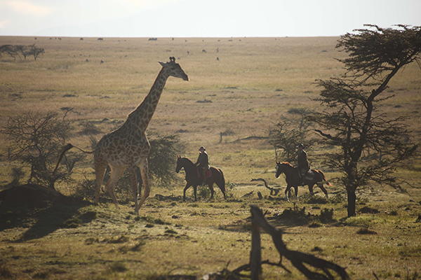 Safaris Unlimited Kenya horseback