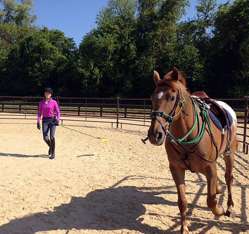 equi-spective experience salamander resort middleburg