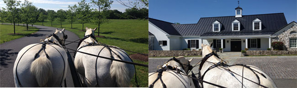 Salamander Resort carriage ride