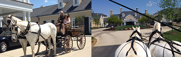 Salamander Resort horse drawn carriage