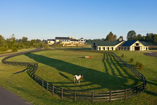 salamander stables virginia