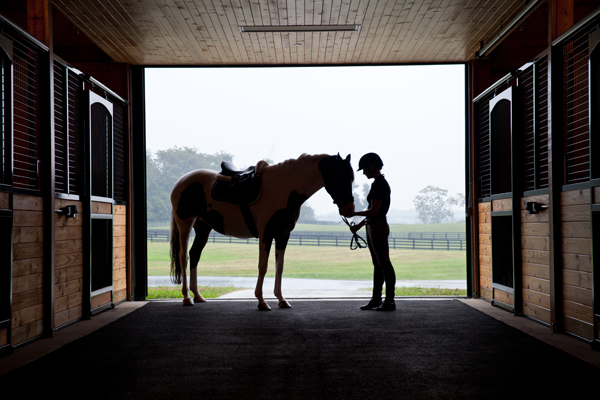 salamander stables virginia hunt country