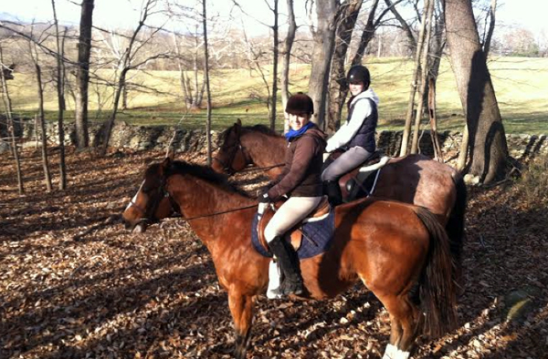 salamander horseback riding