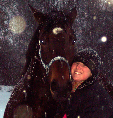 standardbred horse