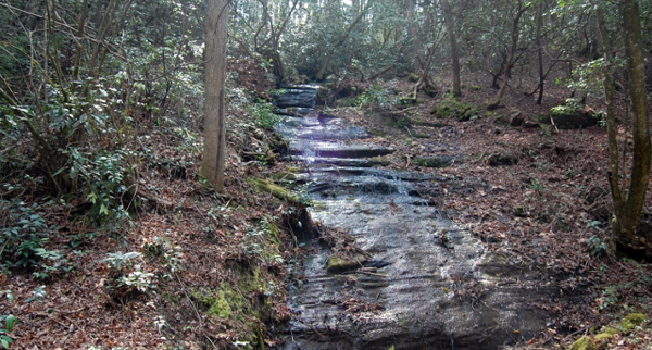 south carolina equestrian trails