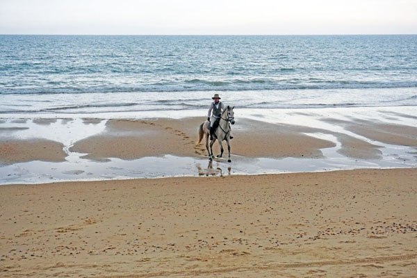 Horseback Riding Atlantic Coast Spain