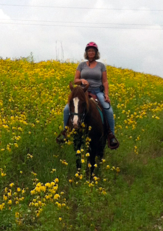 shaker village horseback wildflowers