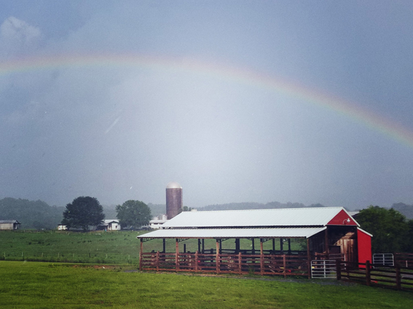 rainbow over dairy farn vincent alabama