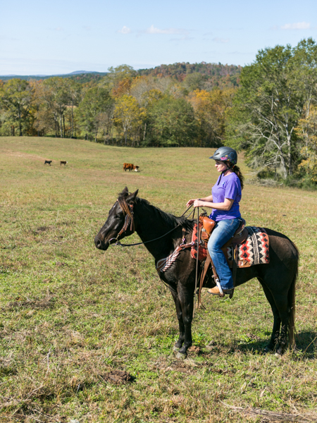 woman rides young horse through cow pasture