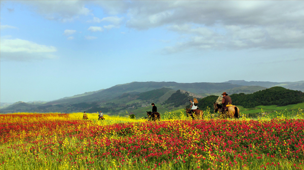 spring flowers sicily mountains