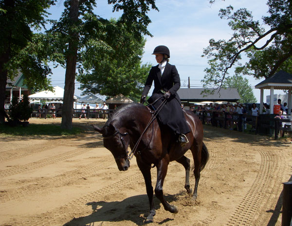 Upperville sidesaddle