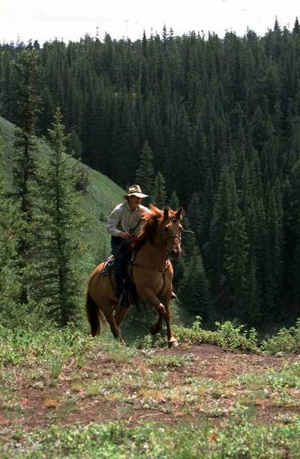 siwash lake ranch horseback riding british columbia