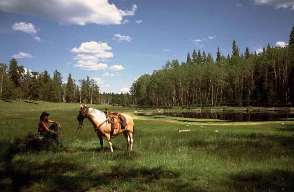 Siwash Lake Ranch, British Columbia guest ranch