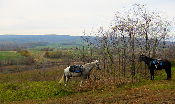 Sky Meadows State Park Horseback Trail Views