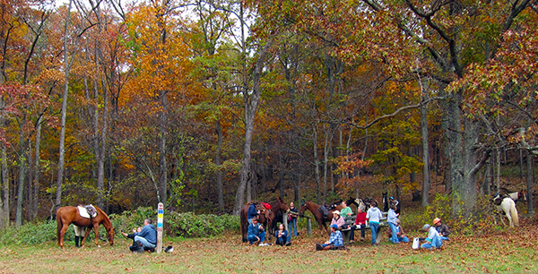 sky meadows state park virginia