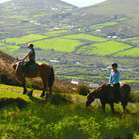 Irish Countryside