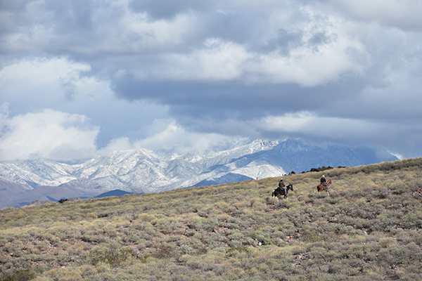 arizona horse riding wilderness