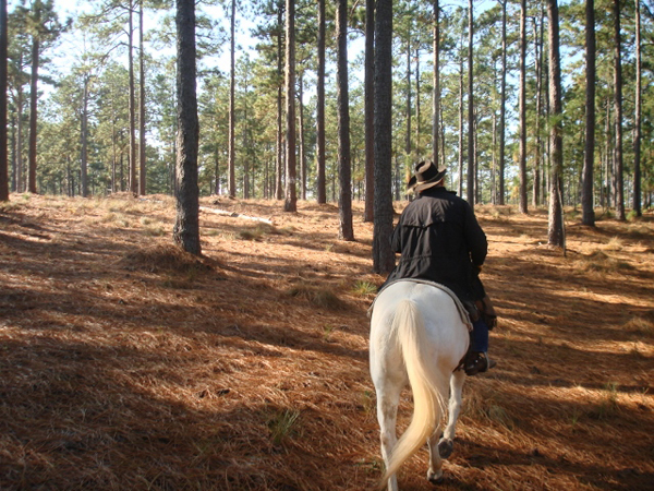 south carolina horse trails