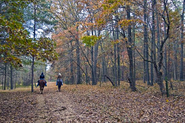 southern cross guest ranch georgia