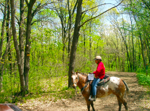 Southern Kettle State Forest Wisconsin Horse Trails