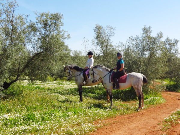 horseback riding hacienda horses cortijo uribe