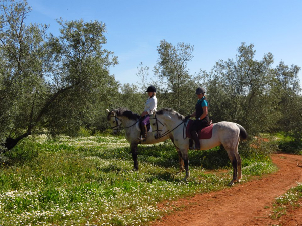 cortijo uribe spain