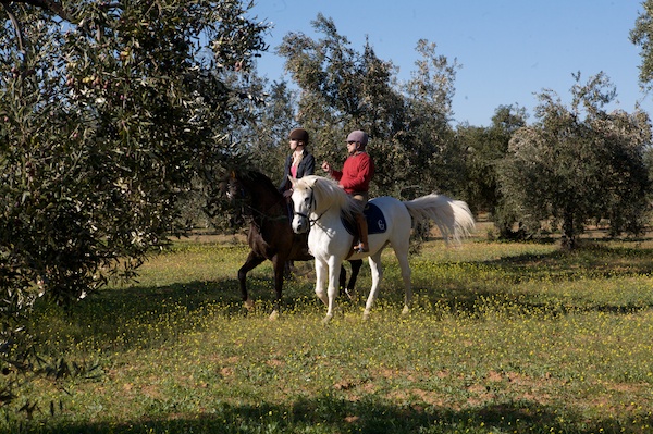 Seville countryside