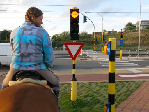 Belgium Traffic Signal Buttons for Horseback Riders