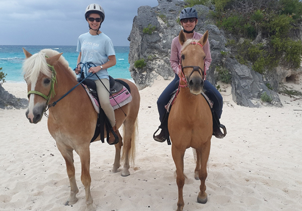 Spicelands Equestrian Centre Bermuda