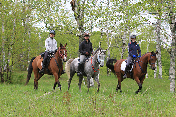 spring horse trails vermont