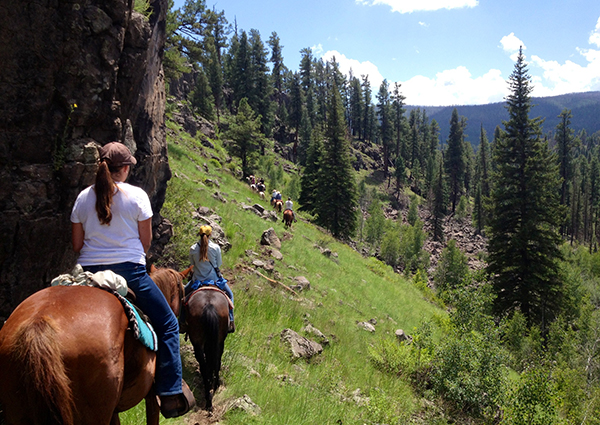 sprucedale guest ranch arizona dude ranches