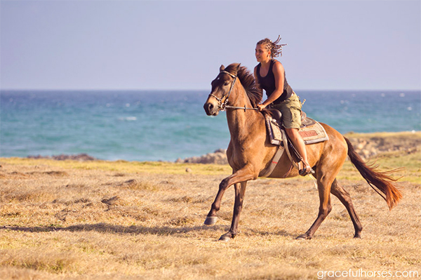 St Lucia Horseback Riding Caribbean