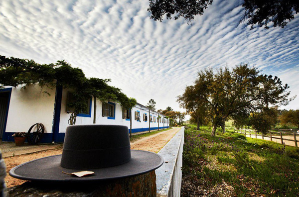 Stables Quinta do Archino Portugal