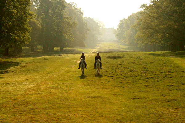 Stag Lodge Stables Richmond Park