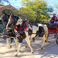 Stagecoach Trails Travel Deal