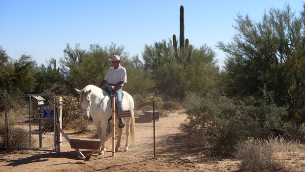 stepover horse trails scottsdale preserve arizona