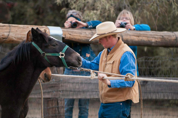 stewart atkinson elkhorn ranch