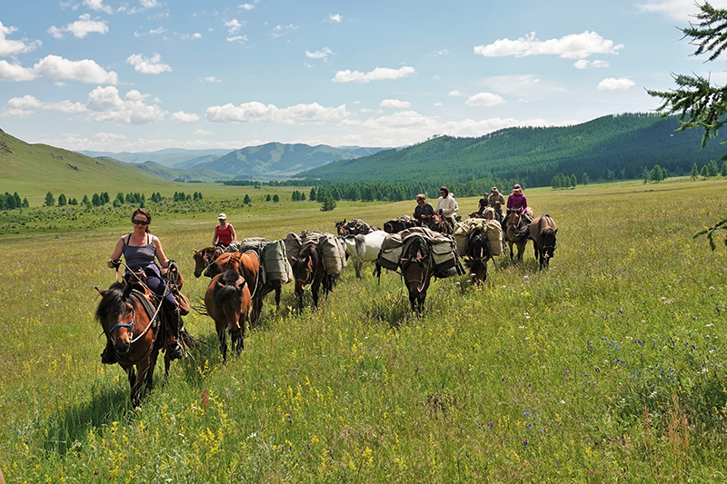 Guest riders enjoy the amazing Mongolian horses and moving along with a herd of pack and saddle horses in a fantastic landscape and great company