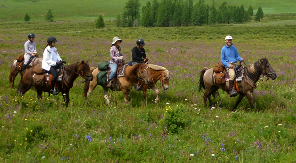 stone horse mongolia horseback riding