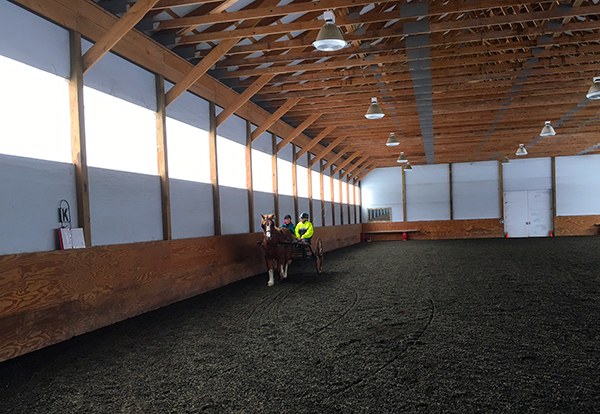 in Vermont with Susan Rogers Carriage Driving at Lands End Farm