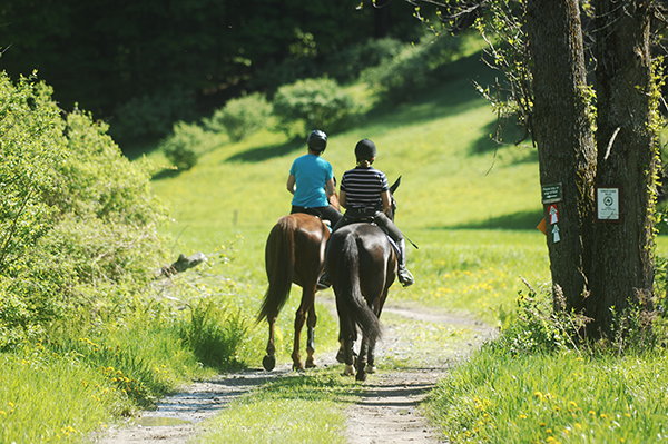 summer days trail riding vermont