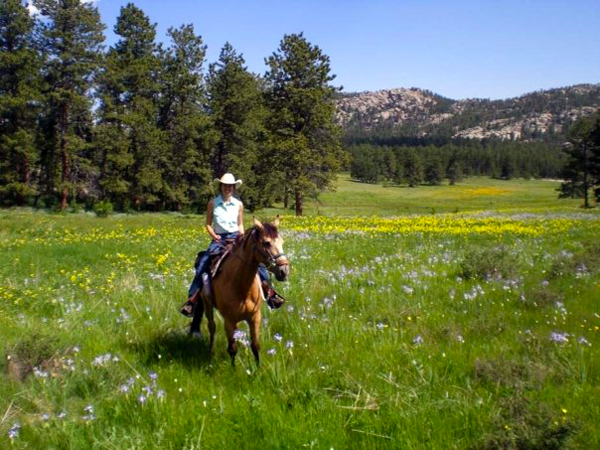 sundance trail ranch colorado