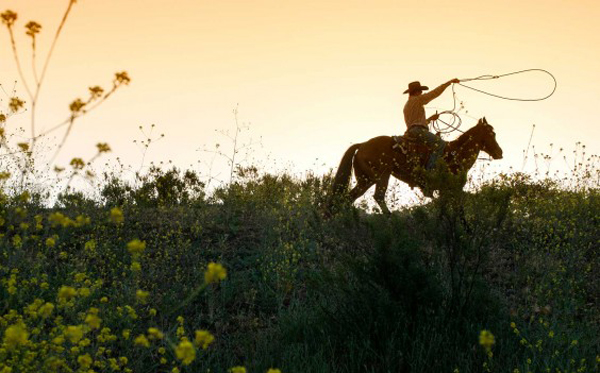 cowgirl swinging rope at alisal guest ranch