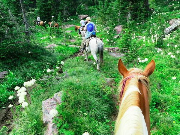 swan mountain horseback riding montana pack trip