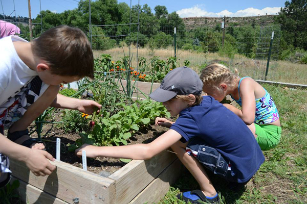 sylvan dale guest ranch garden