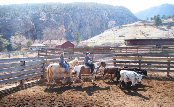 Sylvan Dale Women Horseback Riding